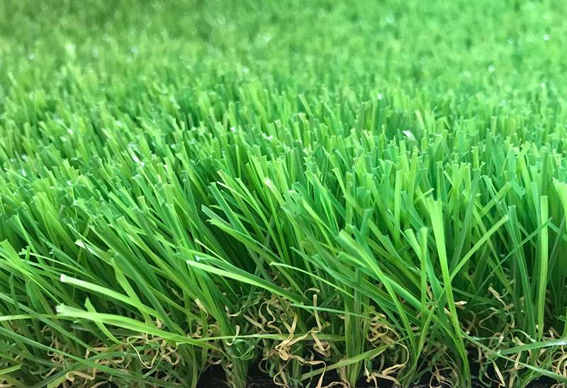 Greenlight Grass