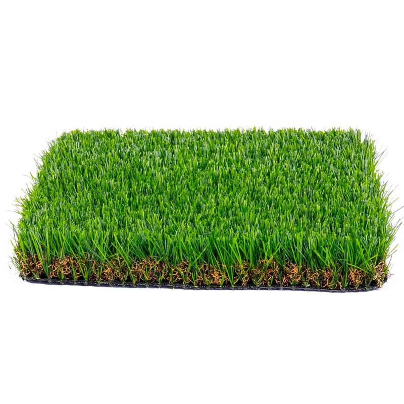 Colheita Folhagem Turf