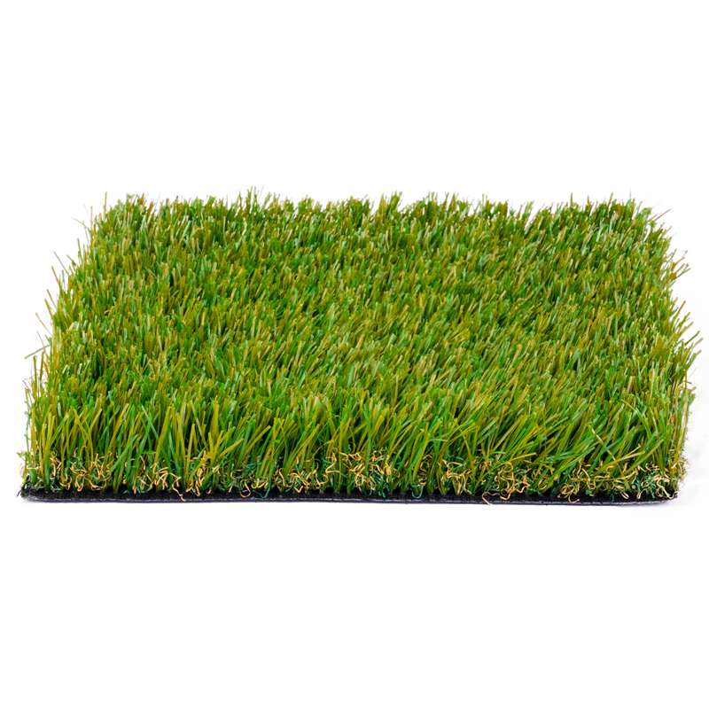 Harvest Splendor Grass Turf