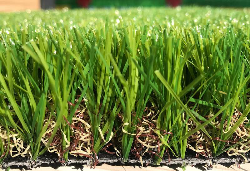 Maple Leaf Garden Turf