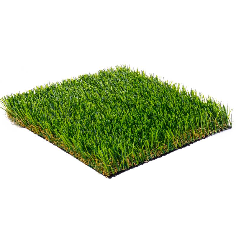 Summer Wind Turf