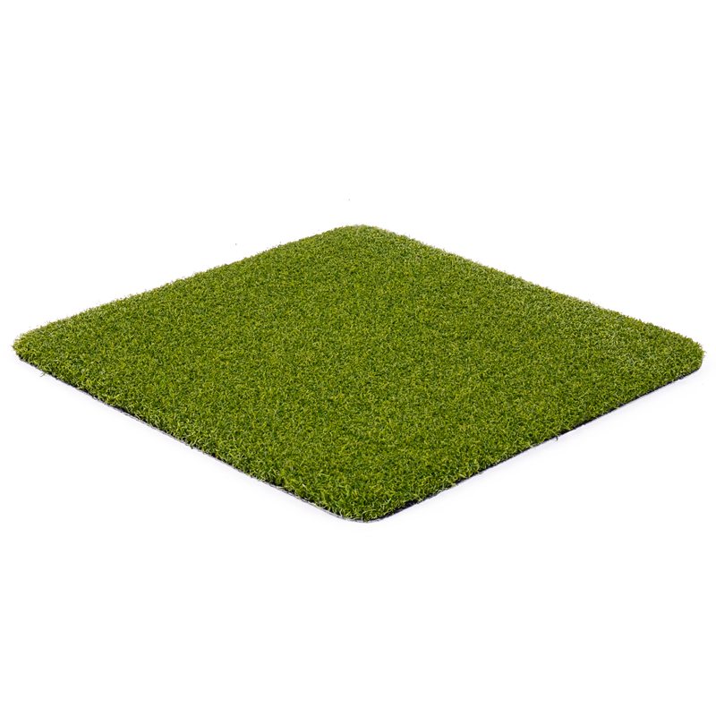 Двухцветная трава для гольфа
