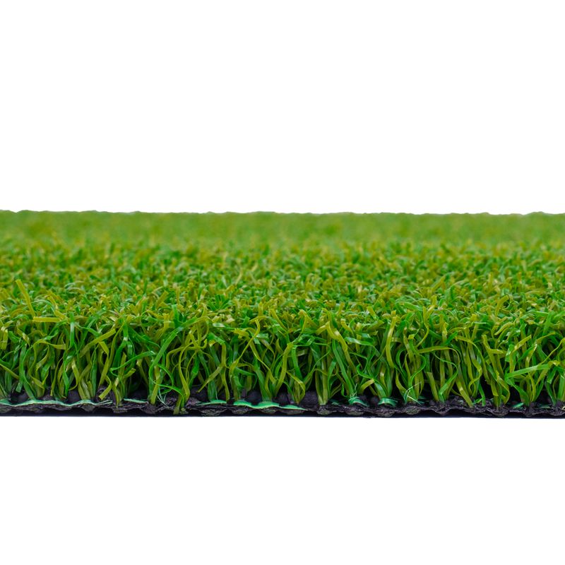 Putting Green Golf Turf