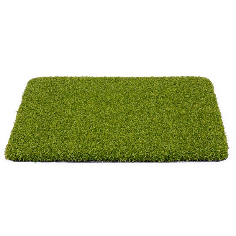 Golf Field Bi Color Putting Grass