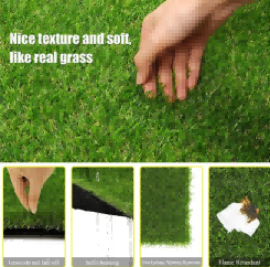 Green Snow of Summer pet Turf