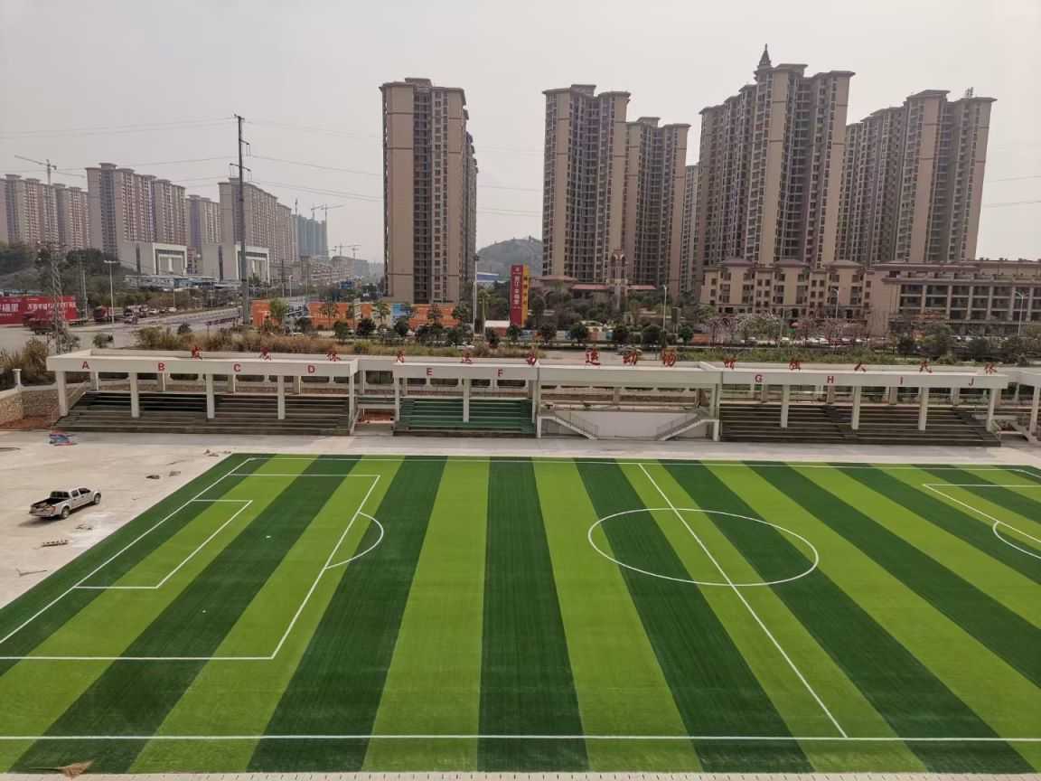 Bi-color monofilament football turf well upright ability