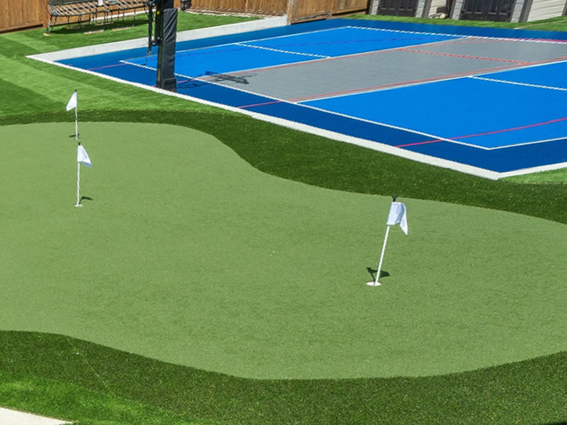 Putting green Field: Golf Grass