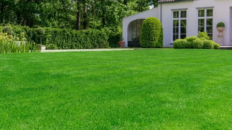 Summer Sentiment Residential Artificial Turf