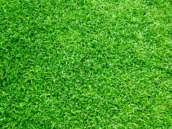 High quality artificial leather turf prices for football fields